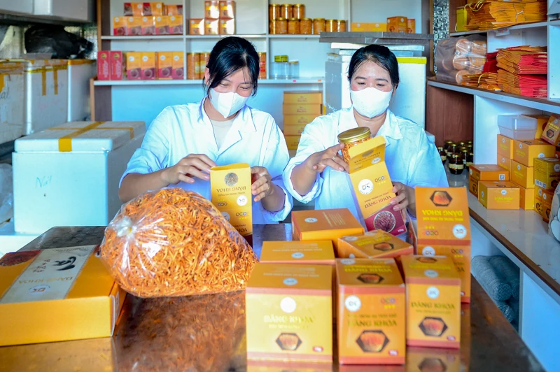 Từ căn phòng lạnh, người đàn ông gây dựng 7 sản phẩm OCOP