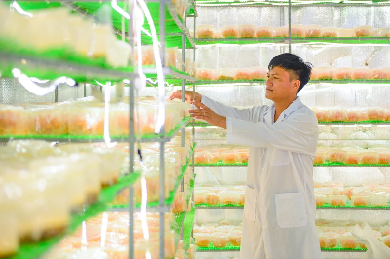 Từ căn phòng lạnh, người đàn ông gây dựng 7 sản phẩm OCOP
