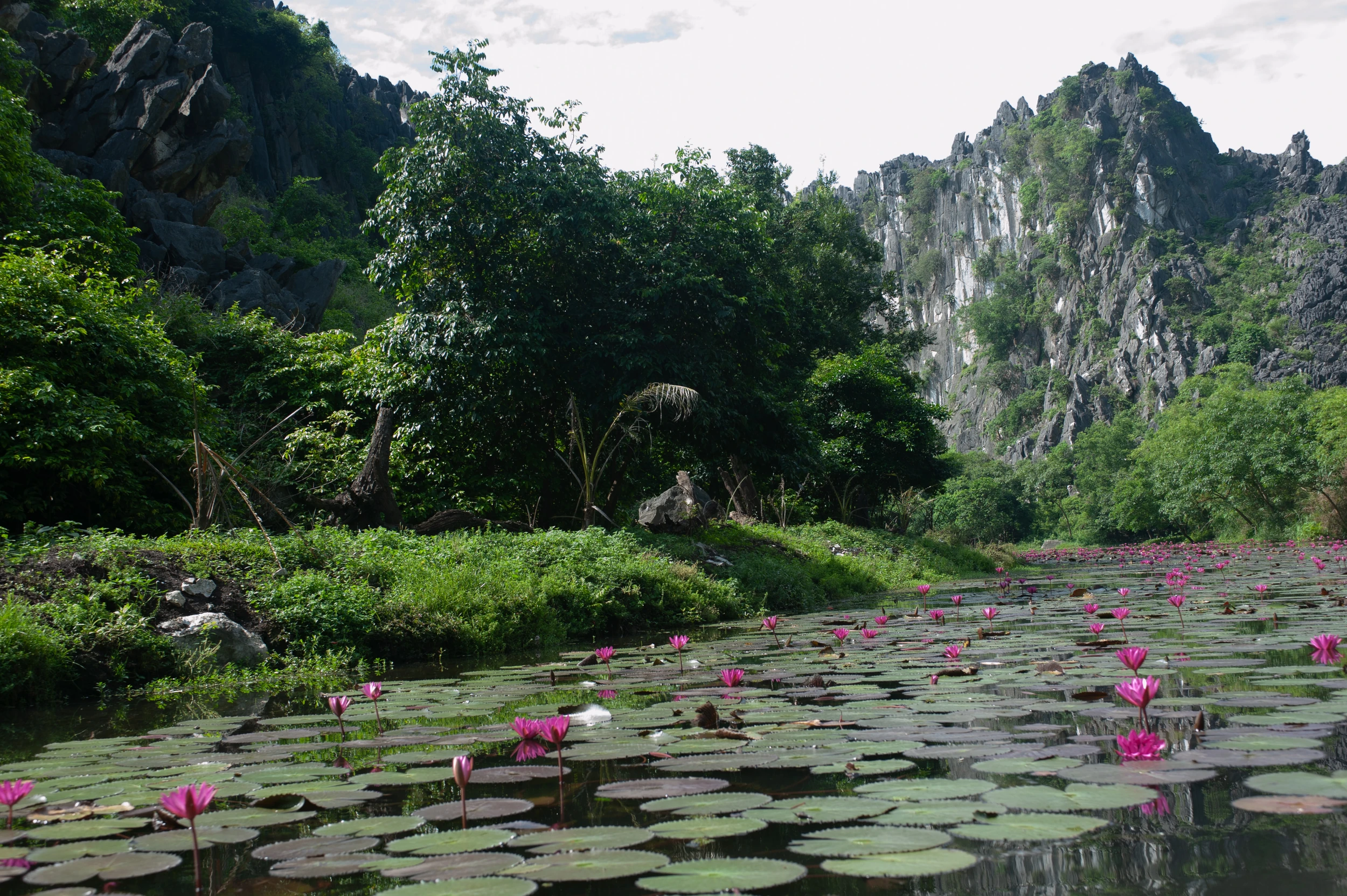 “Đừng đi giày tây lên động Tiên Sơn”