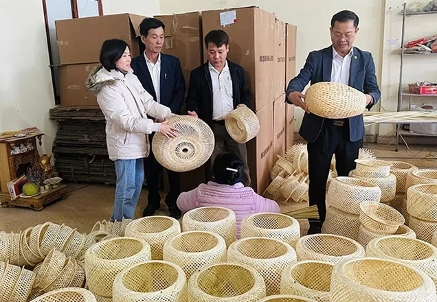 Nâng cao chất lượng đào tạo nghề nông thôn đến năm 2030 trên địa bàn tỉnh