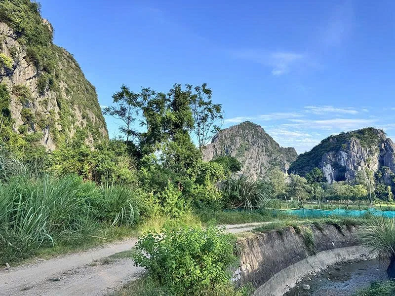Hạnh Phúc Đoàn - làng xưa, phố nay