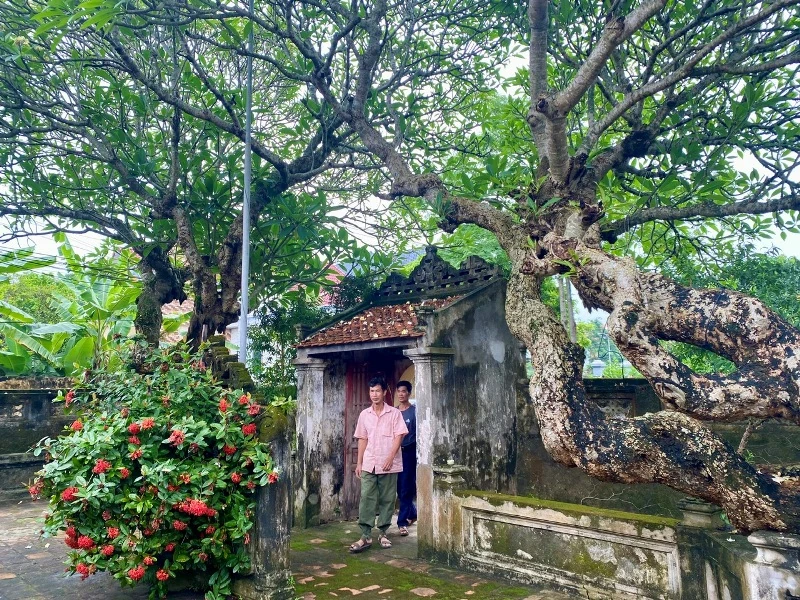 Chuyện kể Quận công Mai An Dũng