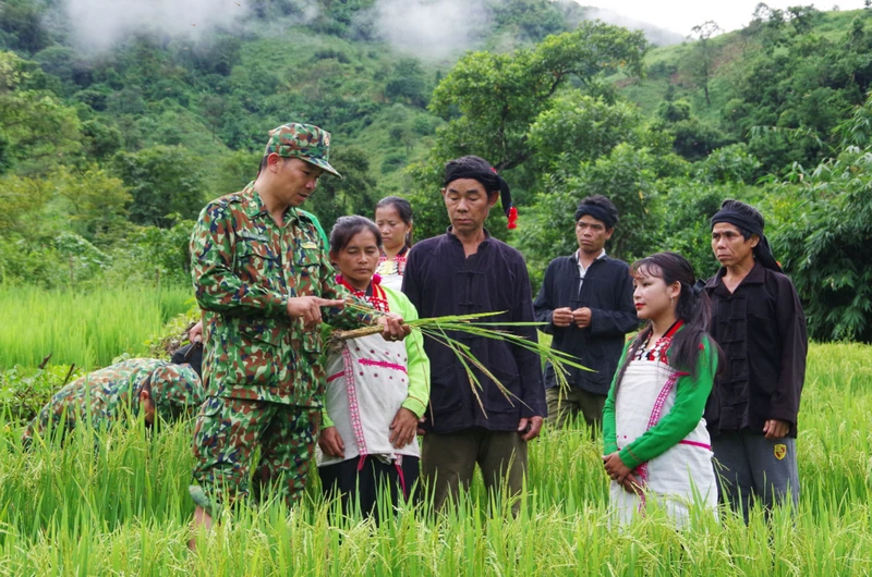 Tăng cường tuyên truyền về Quân đội tham gia lao động sản xuất, phát triển kinh tế - xã hội