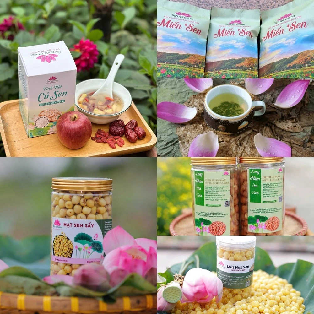 Kỳ vọng phát triển sản phẩm OCOP từ cây sen