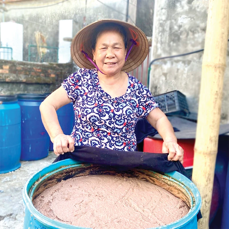 Khúc Phụ - làng mắm bên cửa biển