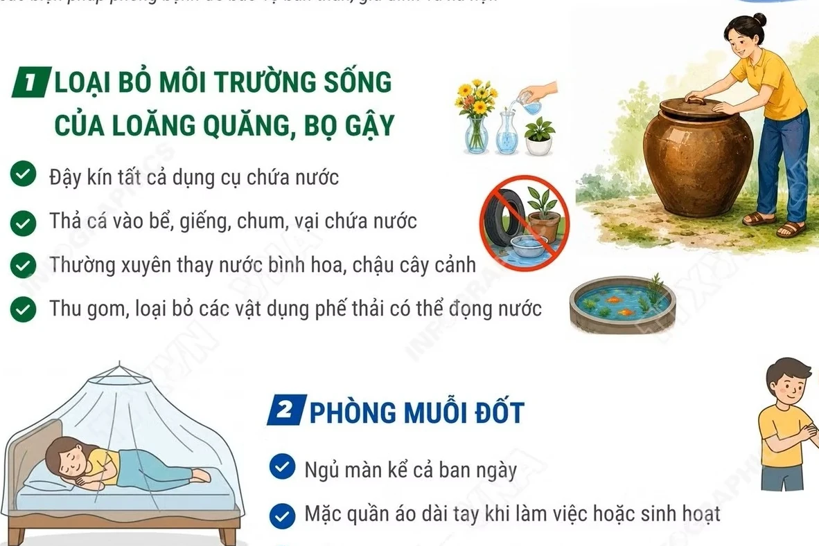 Ngày ASEAN phòng, chống sốt xuất huyết: 3 việc cần làm để phòng bệnh hiệu quả