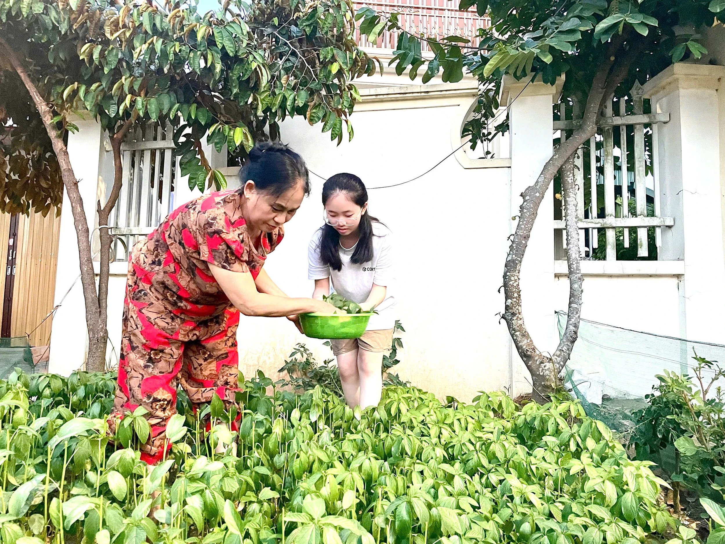 Nơi để trẻ được trải nghiệm và yêu thương