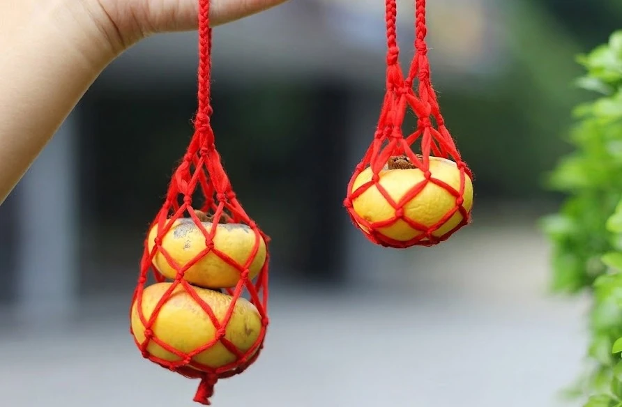 Hương thu đi lạc vào hè
