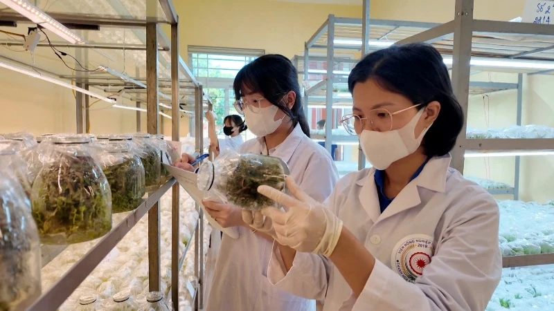 Từ ý tưởng nghiên cứu đến giá trị thực tiễn