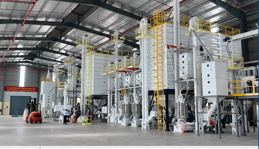 Từ cánh đồng thông minh đến giá trị hạt gạo