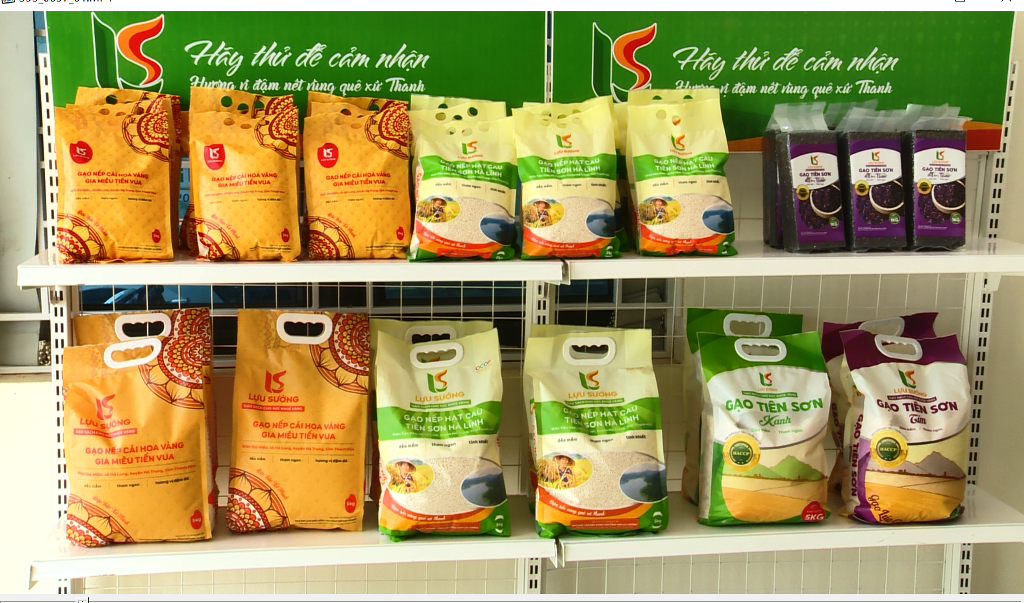 Hợp tác xã tiên phong liên kết sản xuất lúa chất lượng cao