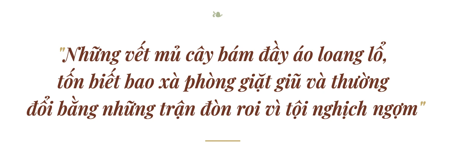 Về Bộ Đầu hái trái nụ quân