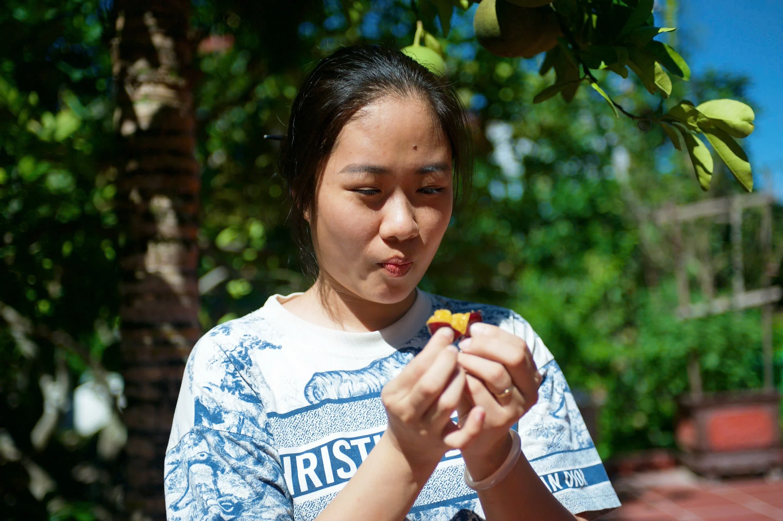 Về Bộ Đầu hái trái nụ quân
