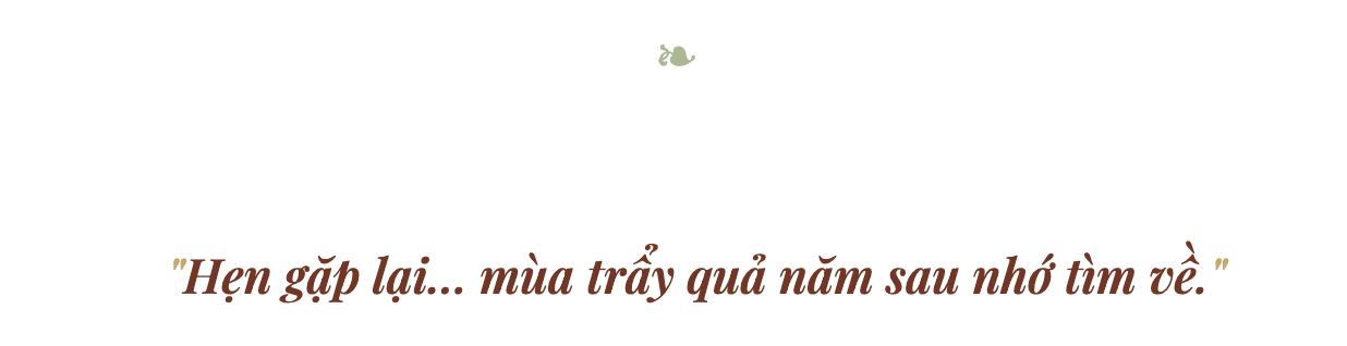 Về Bộ Đầu hái trái nụ quân
