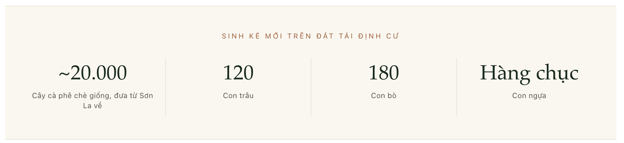 Ngày mới trên đỉnh núi