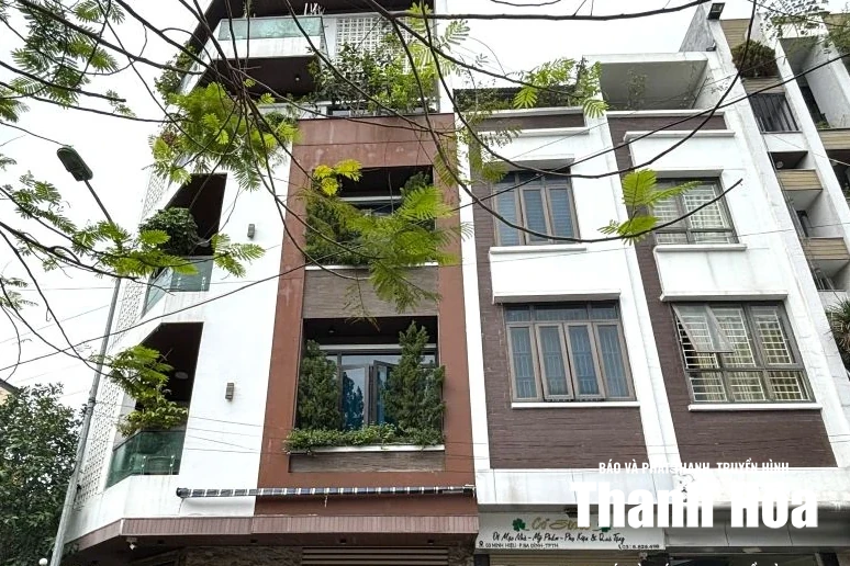 “Khoảng xanh” trong những ngôi nhà phố