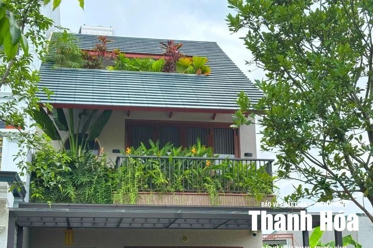 “Khoảng xanh” trong những ngôi nhà phố