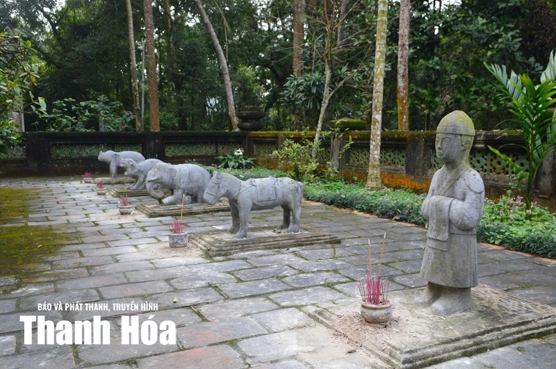 Ngàn năm bóng ngựa (Bài 2) Về Lam Kinh ngắm ngựa chầu...