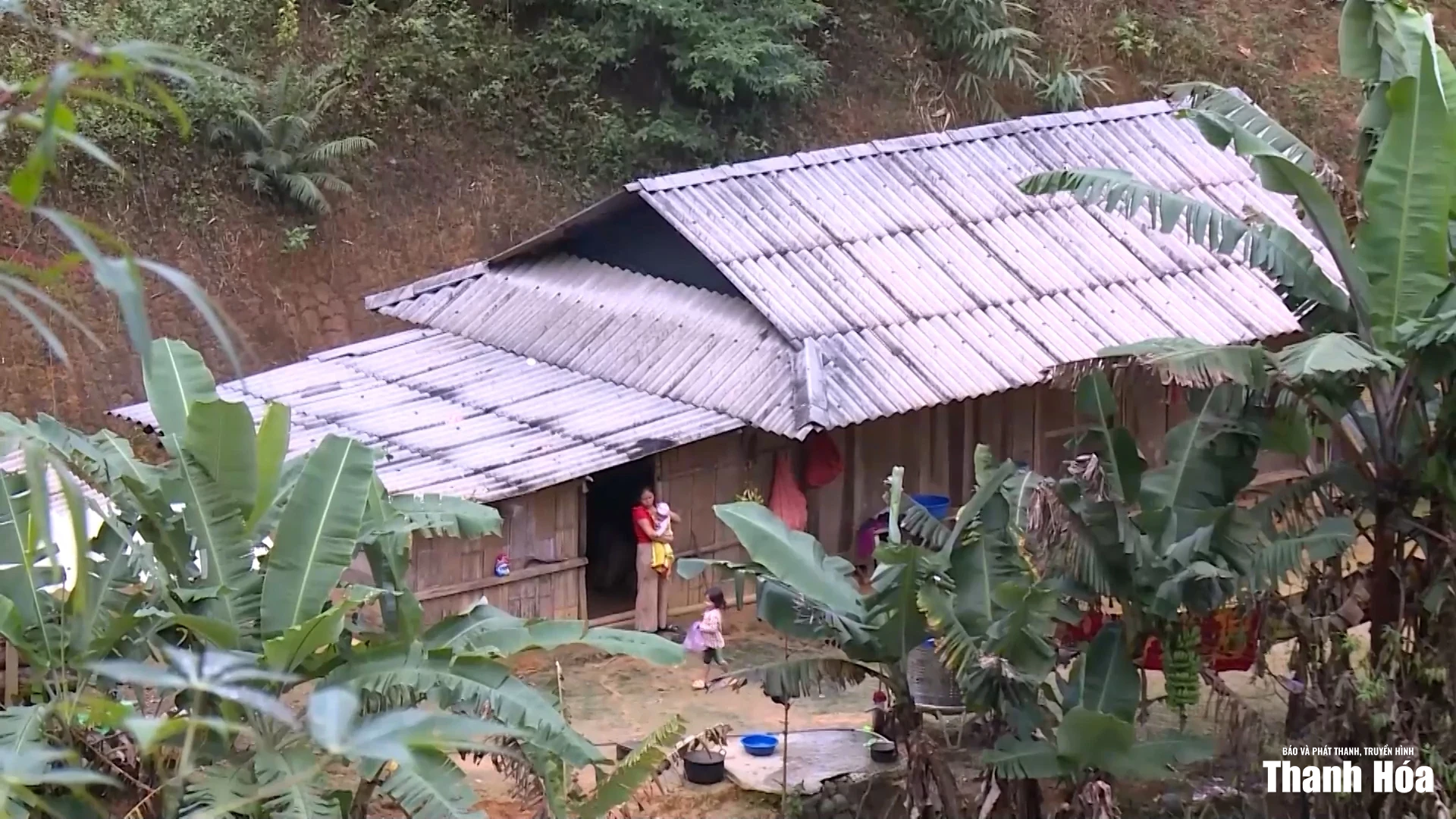 Qua mùa núi động