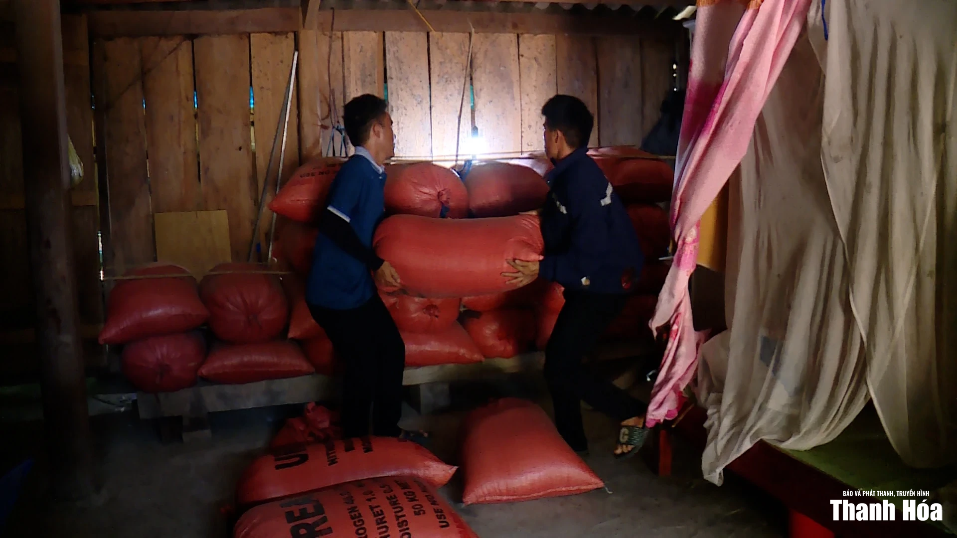 Qua mùa núi động
