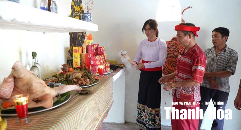 Mùa lúa chín gọi người về!