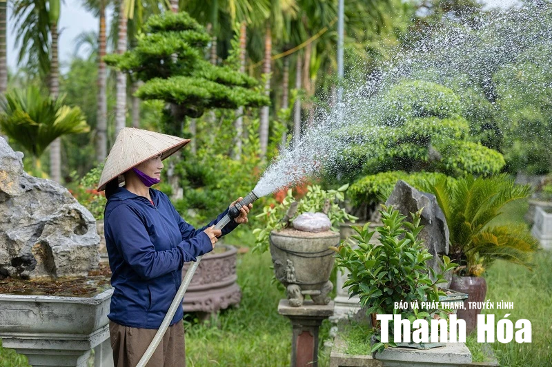 Dự án AMB - Trao tri thức, mở cơ hội