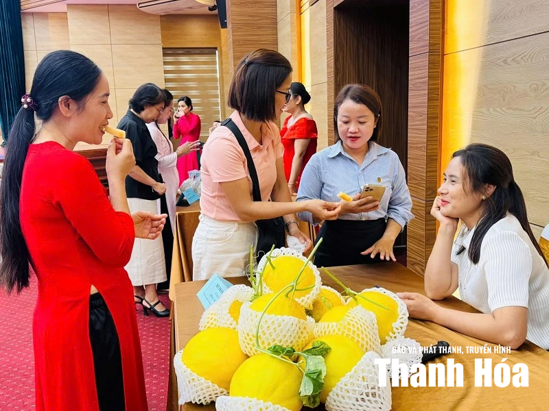 Dự án AMB - Trao tri thức, mở cơ hội