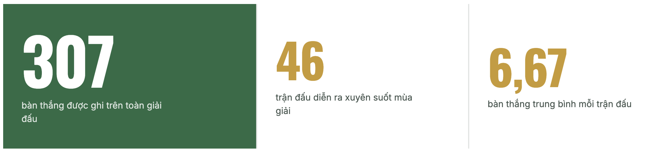 Nửa thập kỷ ươm mầm những giấc mơ sân cỏ