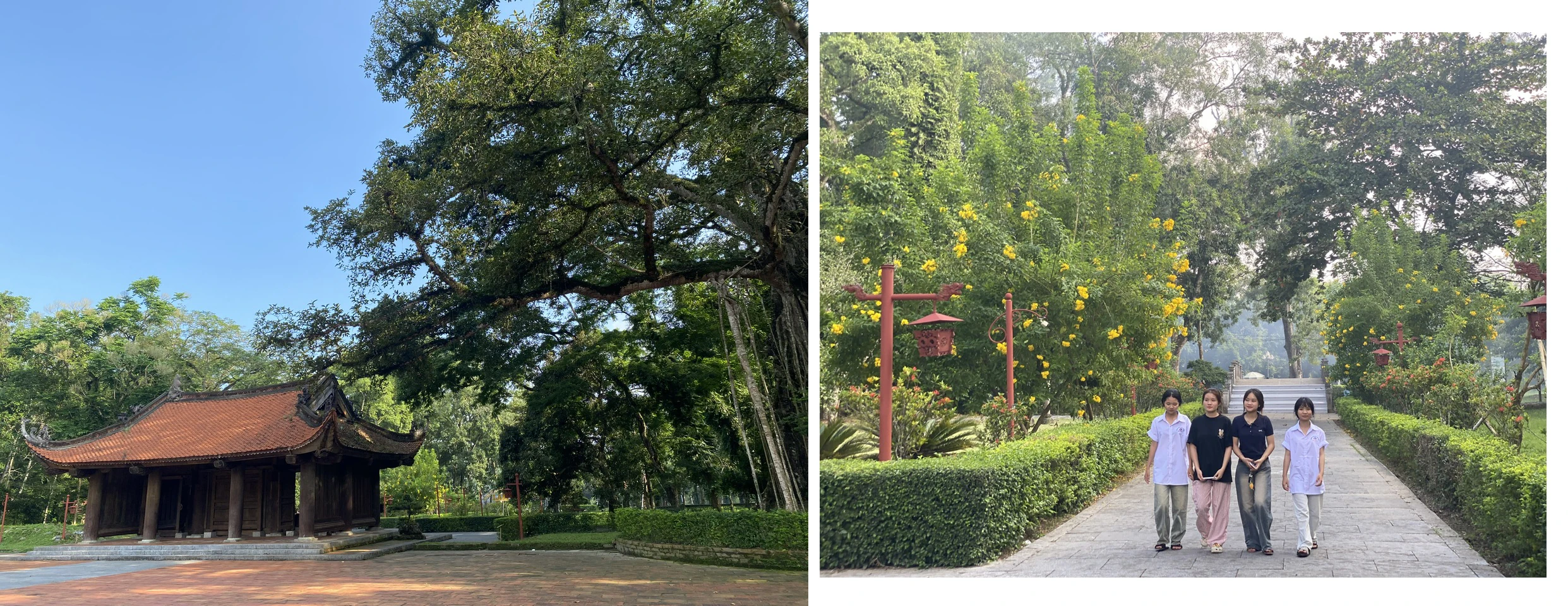 Kể chuyện xứ Thanh bằng ngôn ngữ điện ảnh