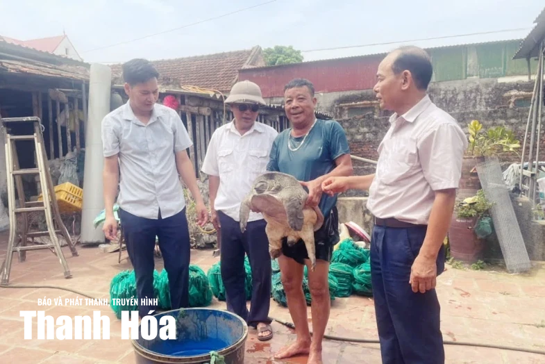 Ứng dụng khoa học - kỹ thuật làm giàu từ nuôi ba ba