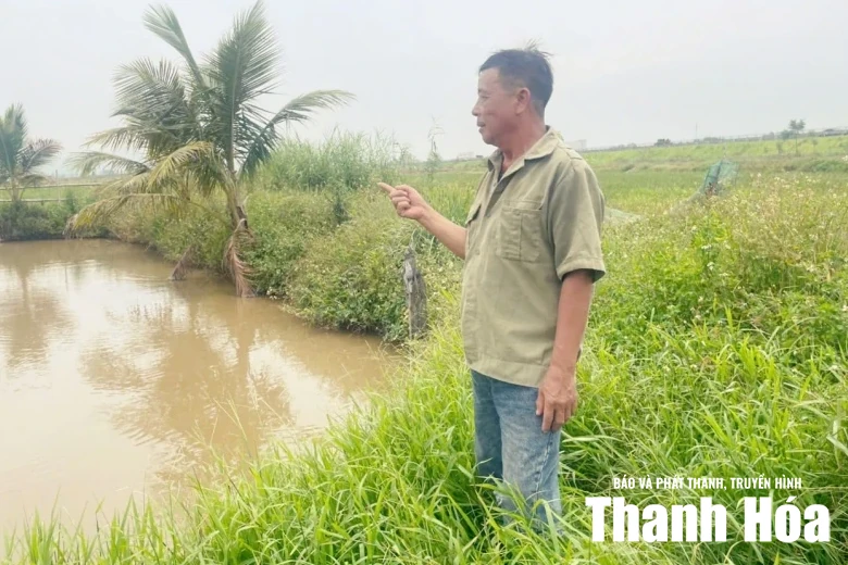 Ứng dụng khoa học - kỹ thuật làm giàu từ nuôi ba ba