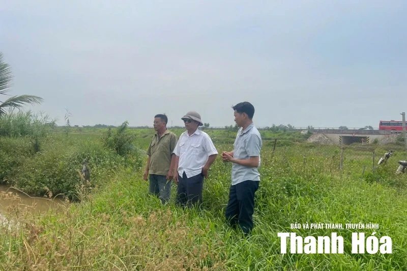 Ứng dụng khoa học - kỹ thuật làm giàu từ nuôi ba ba