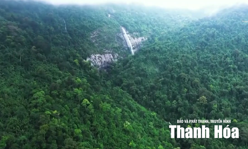 Không để rừng giáp ranh thành “điểm mù” quản lý
