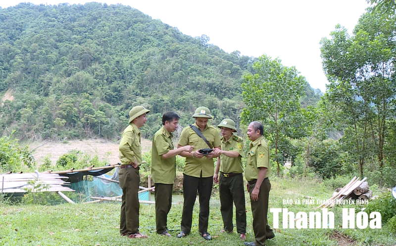 Không để rừng giáp ranh thành “điểm mù” quản lý