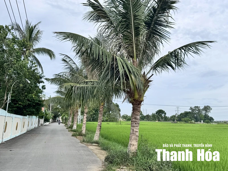 Đường Thôn - đất cổ linh thiêng và huyền thoại ngũ vị thành hoàng
