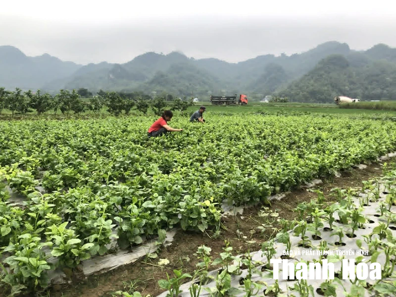 Xây dựng thói quen tiêu dùng đảm bảo an toàn thực phẩm