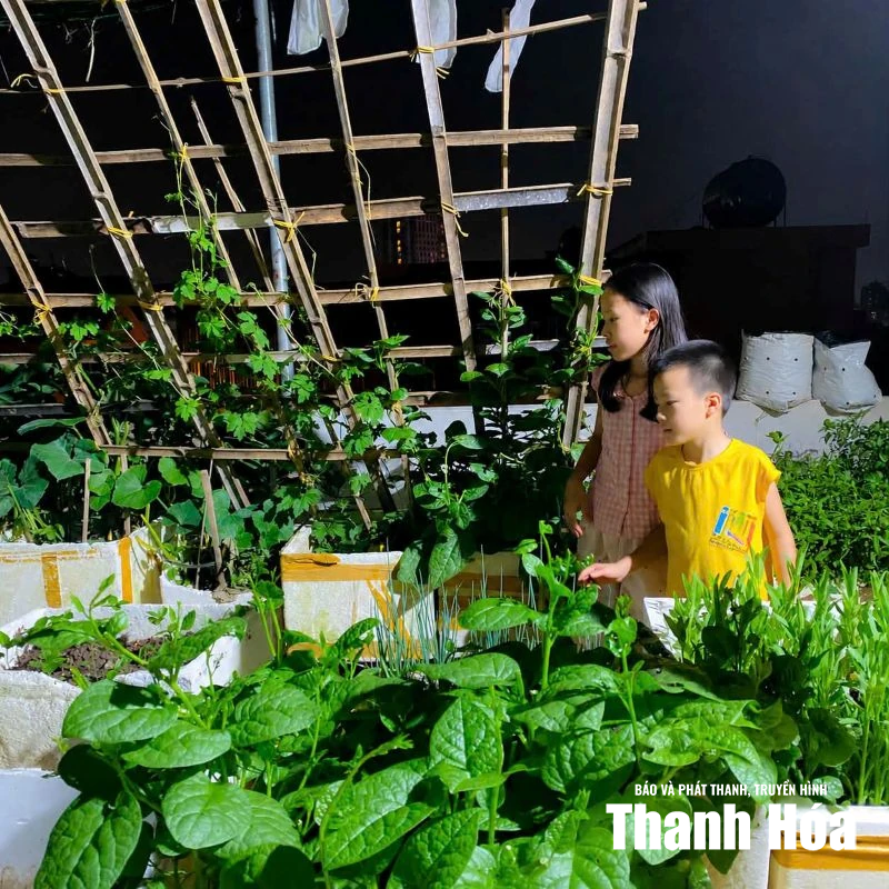 Không gian xanh trên sân thượng
