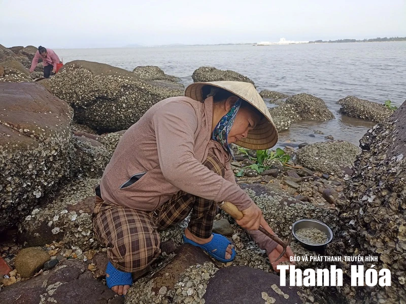 Vị của biển