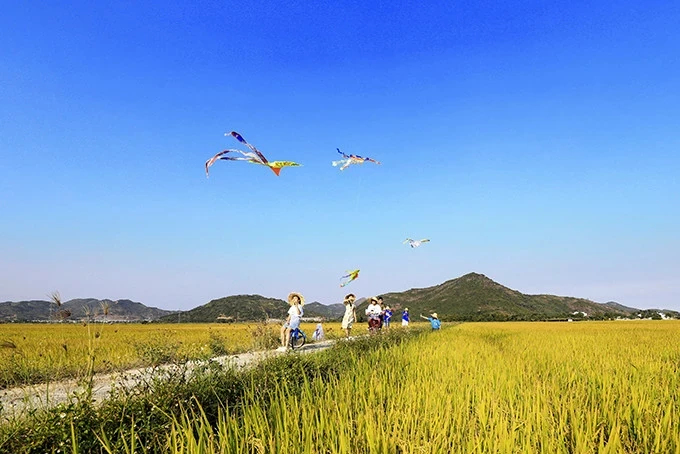 Mùa hạ thơm ký ức