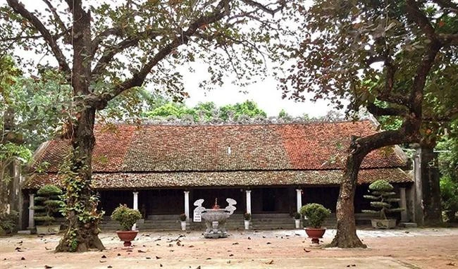 Đẩy nhanh tiến độ thực hiện các công việc để tôn tạo Thái Miếu Nhà Hậu Lê