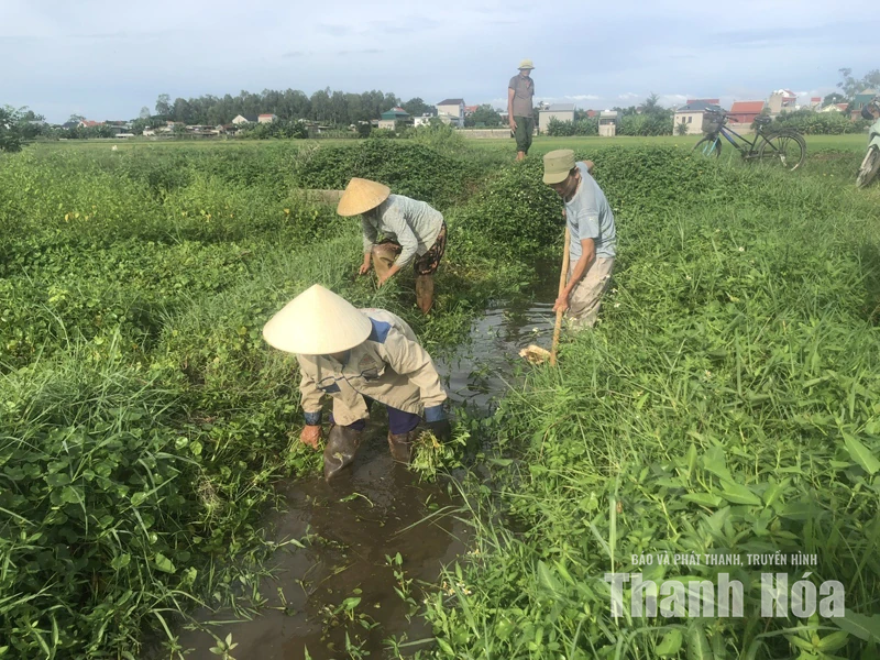 “Mở đường” cho bứt phá (Bài 2): Gom nguồn lực, tạo bệ phóng