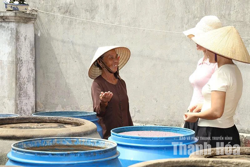 Theo gió biển về Hải Thanh