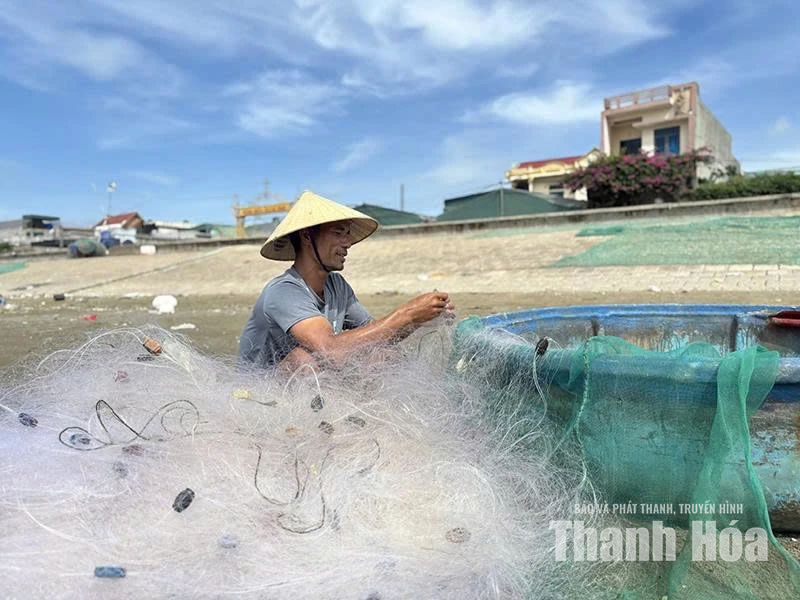Theo gió biển về Hải Thanh