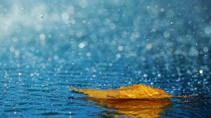 Khẽ khàng nhịp bước mùa thu