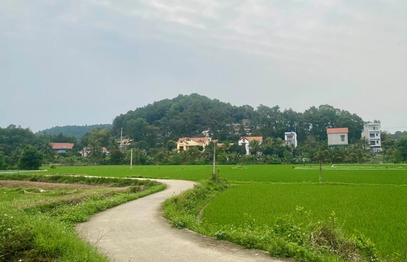 Đi qua mùa hạ