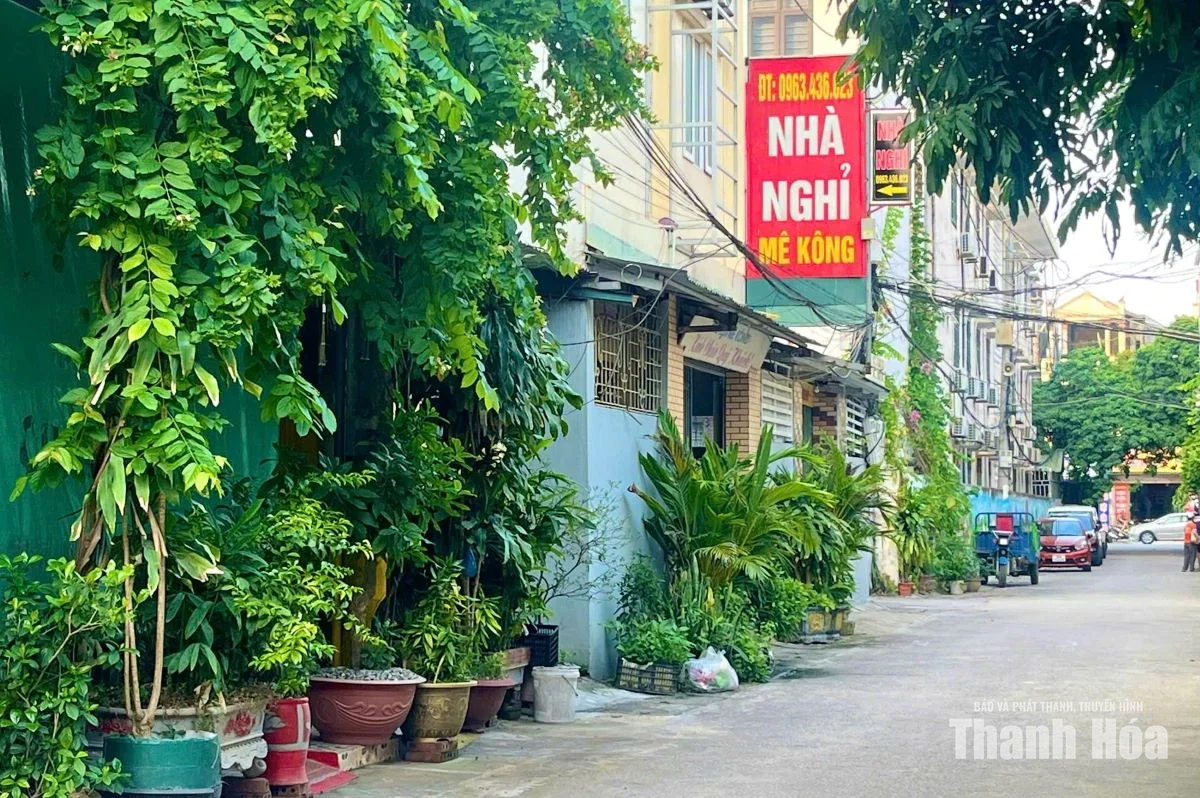 Xanh một góc, chật cả con đường