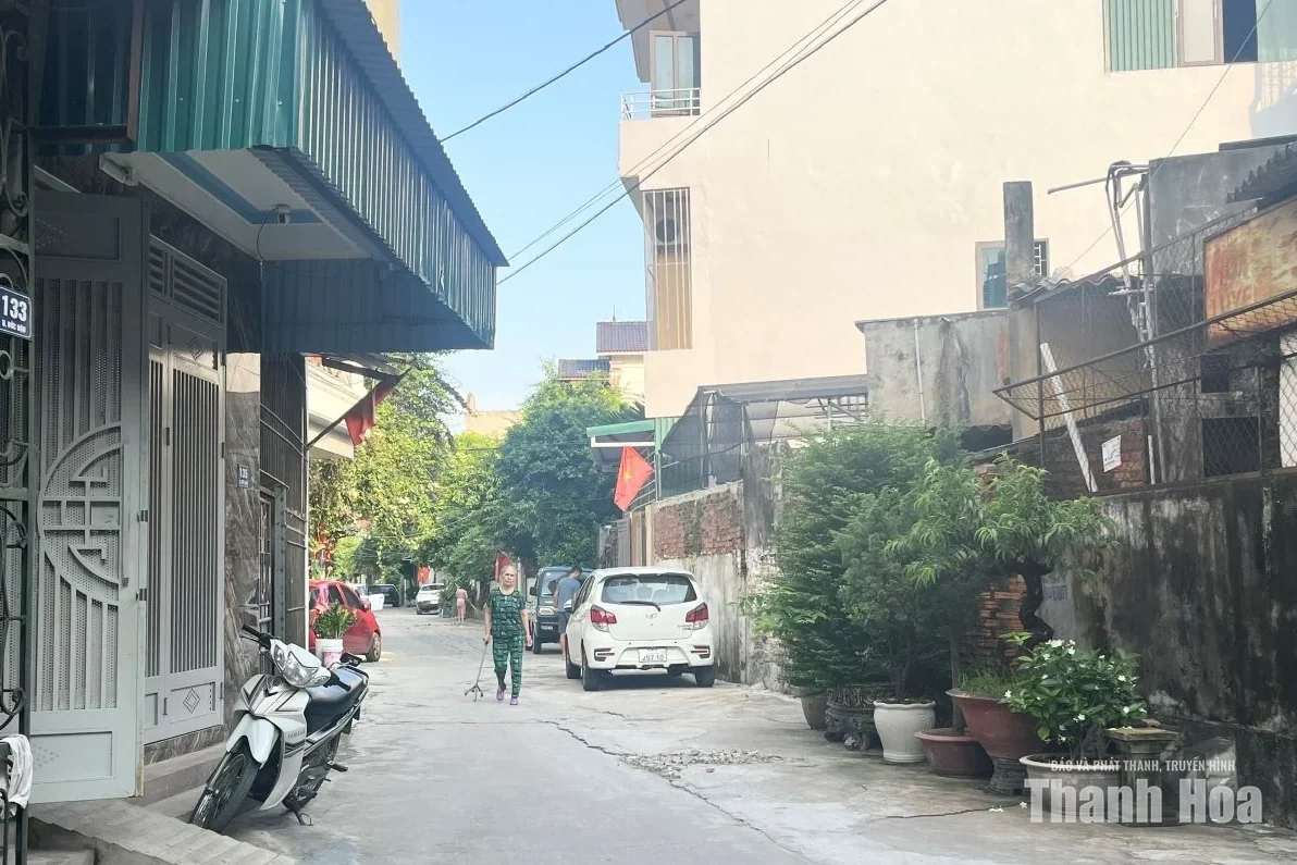 Xanh một góc, chật cả con đường