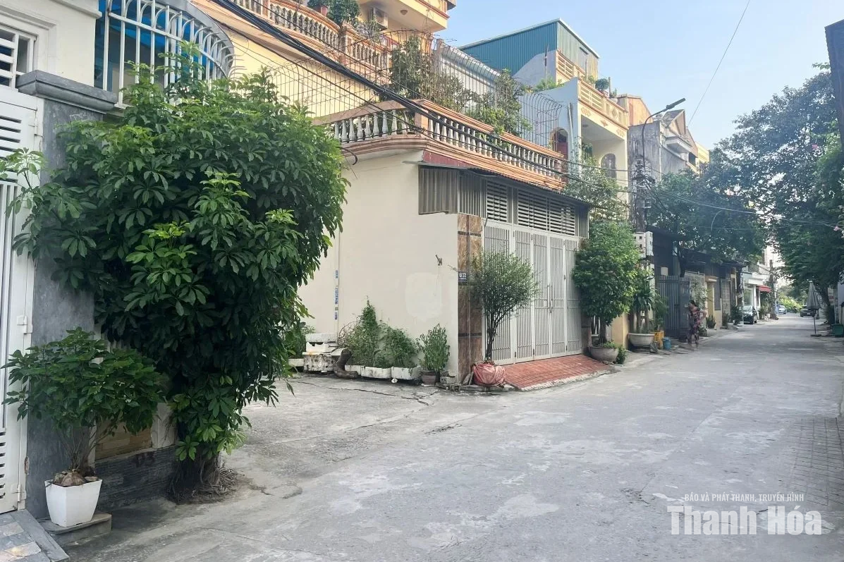 Xanh một góc, chật cả con đường