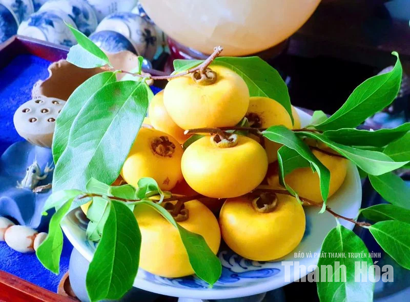 Đánh thức vị mùa thu