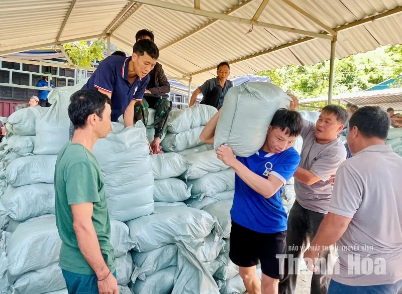 Tam Chung cấp hơn 99 tấn gạo hỗ trợ người dân tham gia bảo vệ và phát triển rừng
